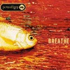 The Prodigy: Breathe (maxi) (1996)
