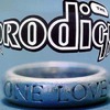 The Prodigy: One Love (maxi) (1993)