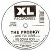 The Prodigy: What Evil Lurks (ep) (1991)