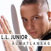 L.L. Junior (Lesi László Csaba): Álmatlanság (2009)